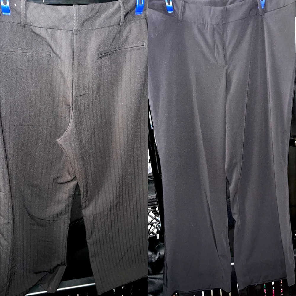 New Women’s Dress Pants, Size 14 Short